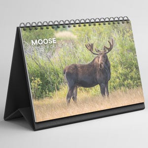 Peut inclure: Calendrier de bureau avec une photo d'un orignal dans un champ. Le calendrier a un support noir et une reliure à spirale. Le texte "MOOSE 2026 DESK CALENDAR" est imprimé sur le devant.