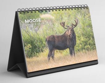 Calendario de escritorio Moose 2026-2027: Calendario de escritorio plegable de pie con papel grueso (15,25 cm x 22 cm, similar a A5)