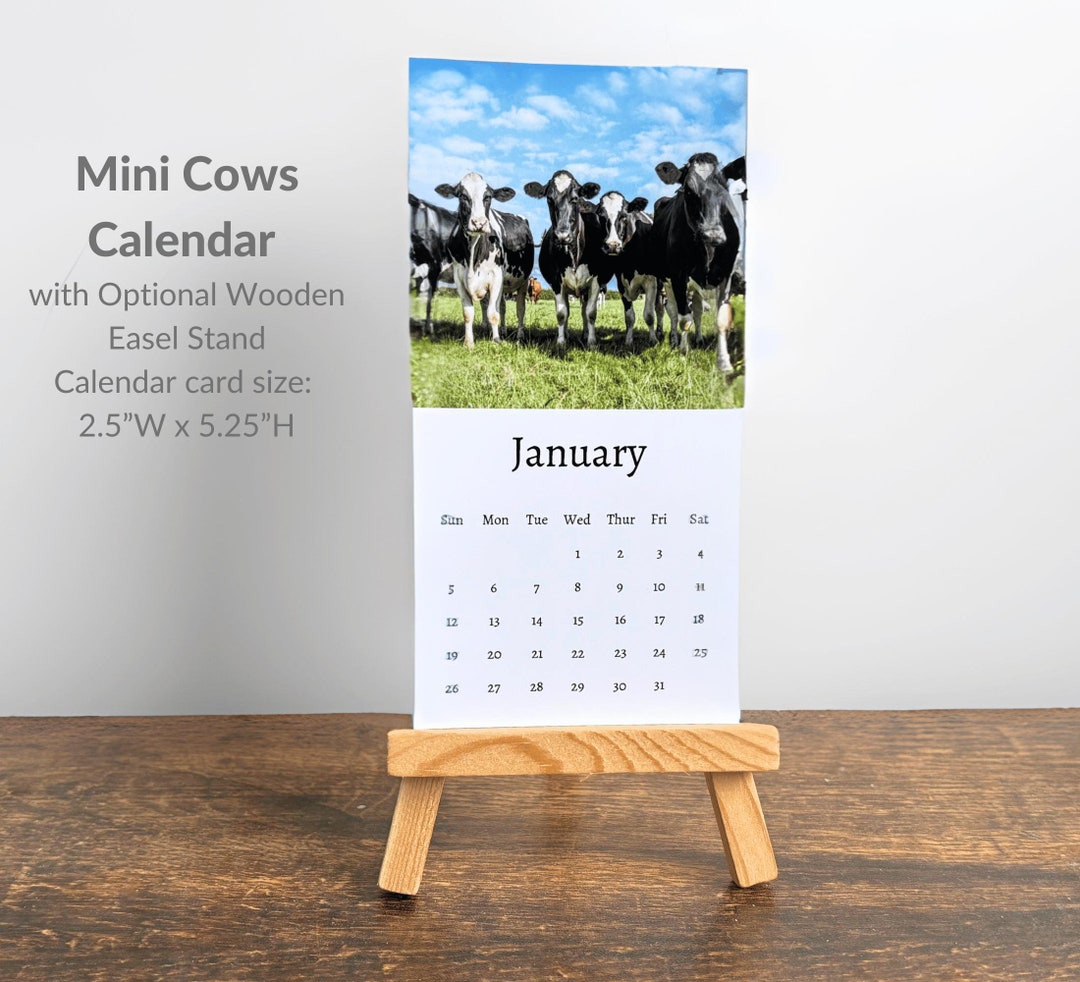Cow Calendar 2025 Mini Desk Calendar, Cow Calendar 20252026, Perfect