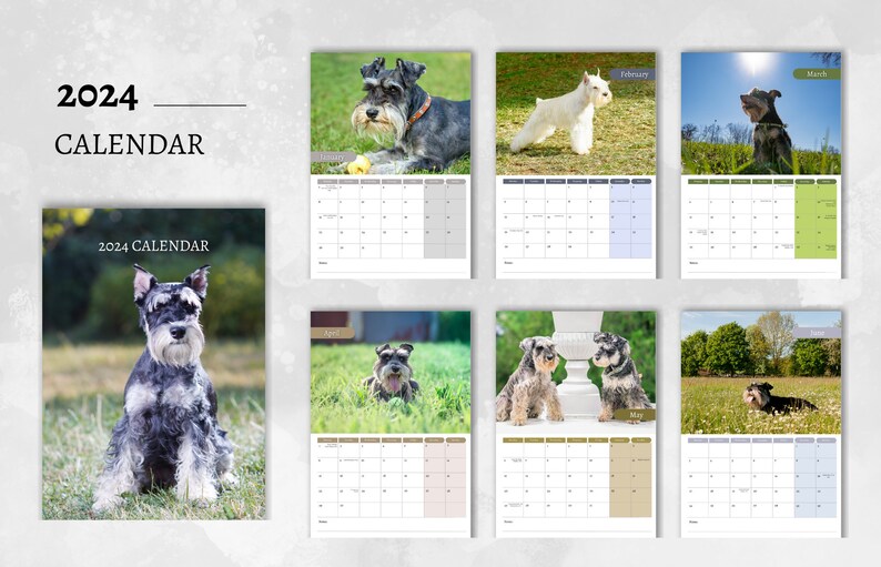 Miniature Schnauzer Calendar 2024 Monthly Wall Calendar A4 Etsy