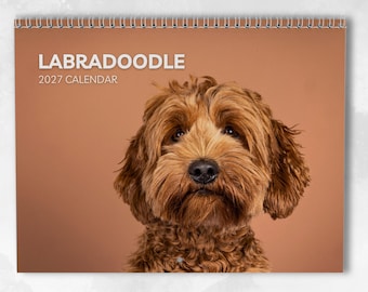 Labradoodle-Kalender 2027: Monatskalender für die Wand mit Notizfunktion, aufgeklappt im A3-Format, inklusive wichtiger Termine und Feiertage