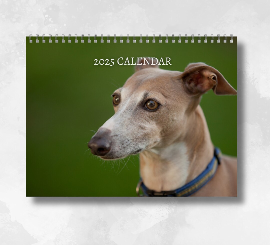 Italian Greyhound Calendar 2025 Monthly Wall Calendar, A4 Hanging