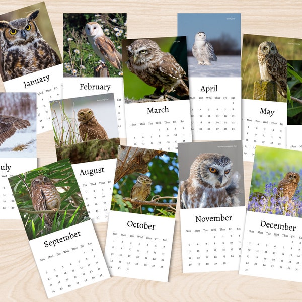 2024 Owl Calendar Etsy