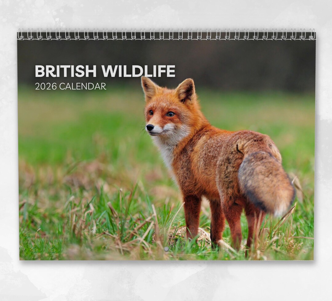 British Wildlife Calendar 2026: Monthly Wall Calendar With Notes, Opens ...