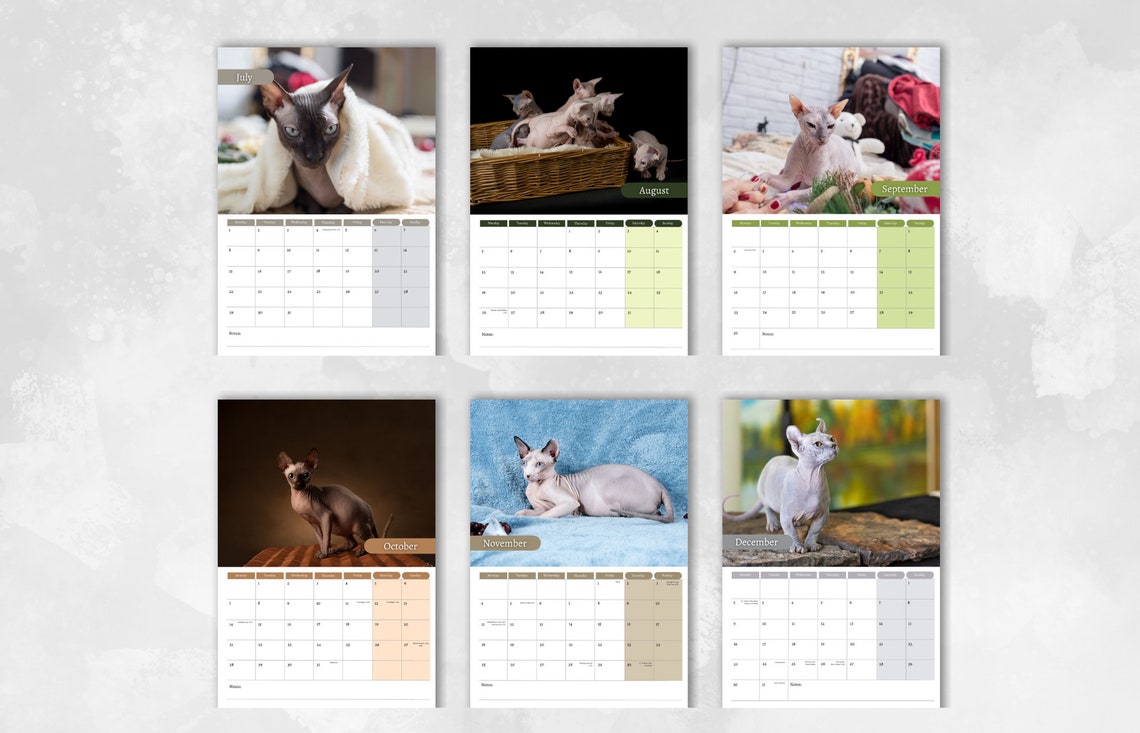 Sphynx Cat Calendar 2024 Monthly Wall Calendar, A4 Hanging Calendar