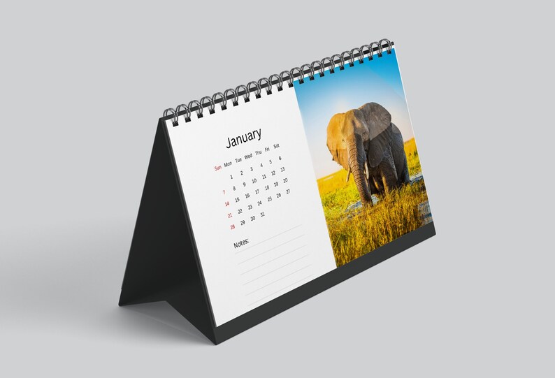 Elephant Desk Calendar 2024 Desktop Calendar Elephant Calendar 2024