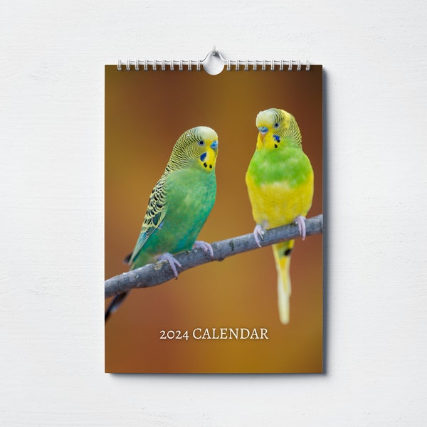 Budgie Etsy UK