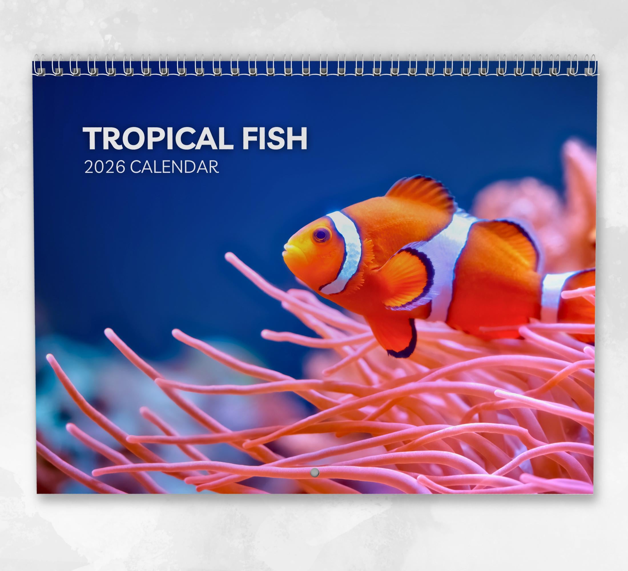 熱帯魚カレンダー 2026: メモ付き月間壁掛けカレンダー、A3サイズ