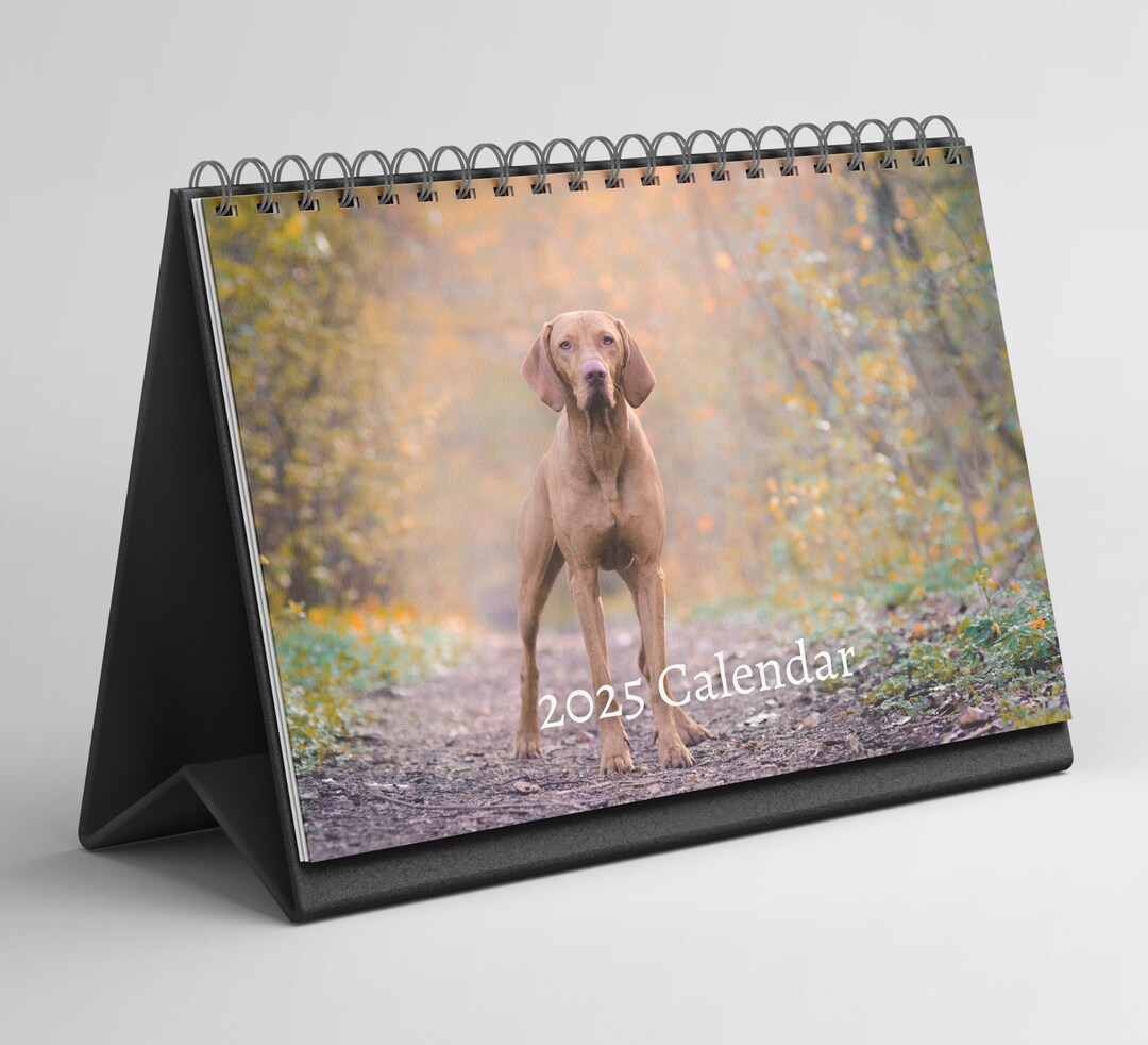 Hungarian Vizsla Desk Calendar 20252026 Standing Flip Desktop