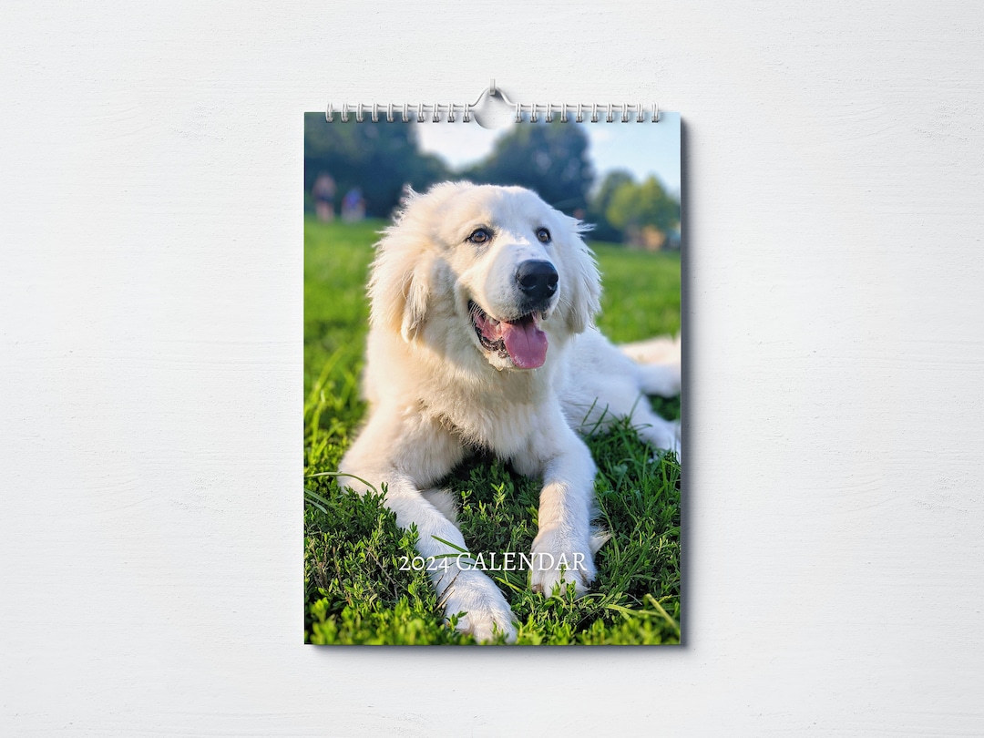 Great Pyrenees Calendar 2024 Monthly Wall Calendar A4 Etsy