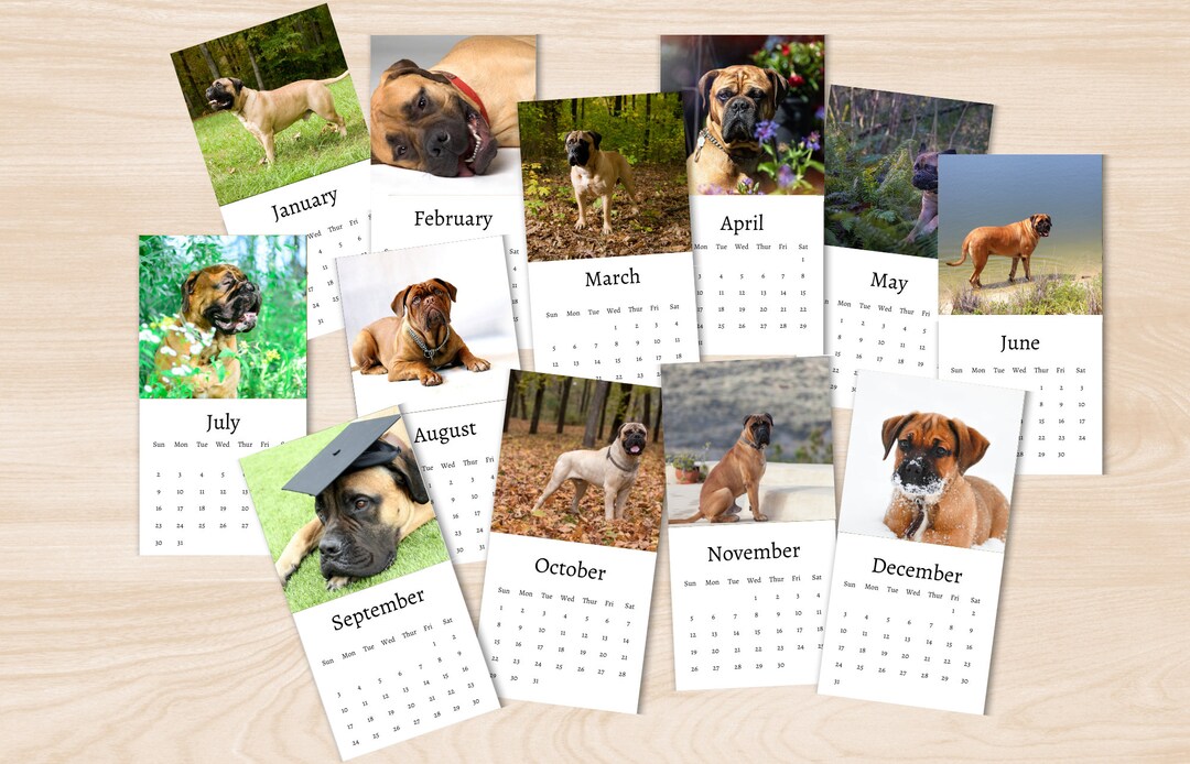Bullmastiff Calendar 2025 Mini Desk Calendar, Bullmastiff Calendar