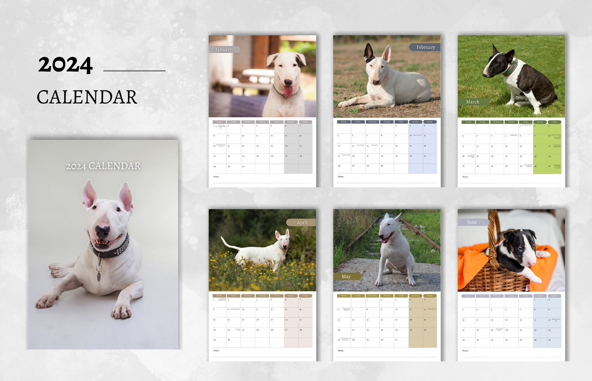Bull Terrier Calendar 2024 Monthly Wall Calendar A4 Size Etsy