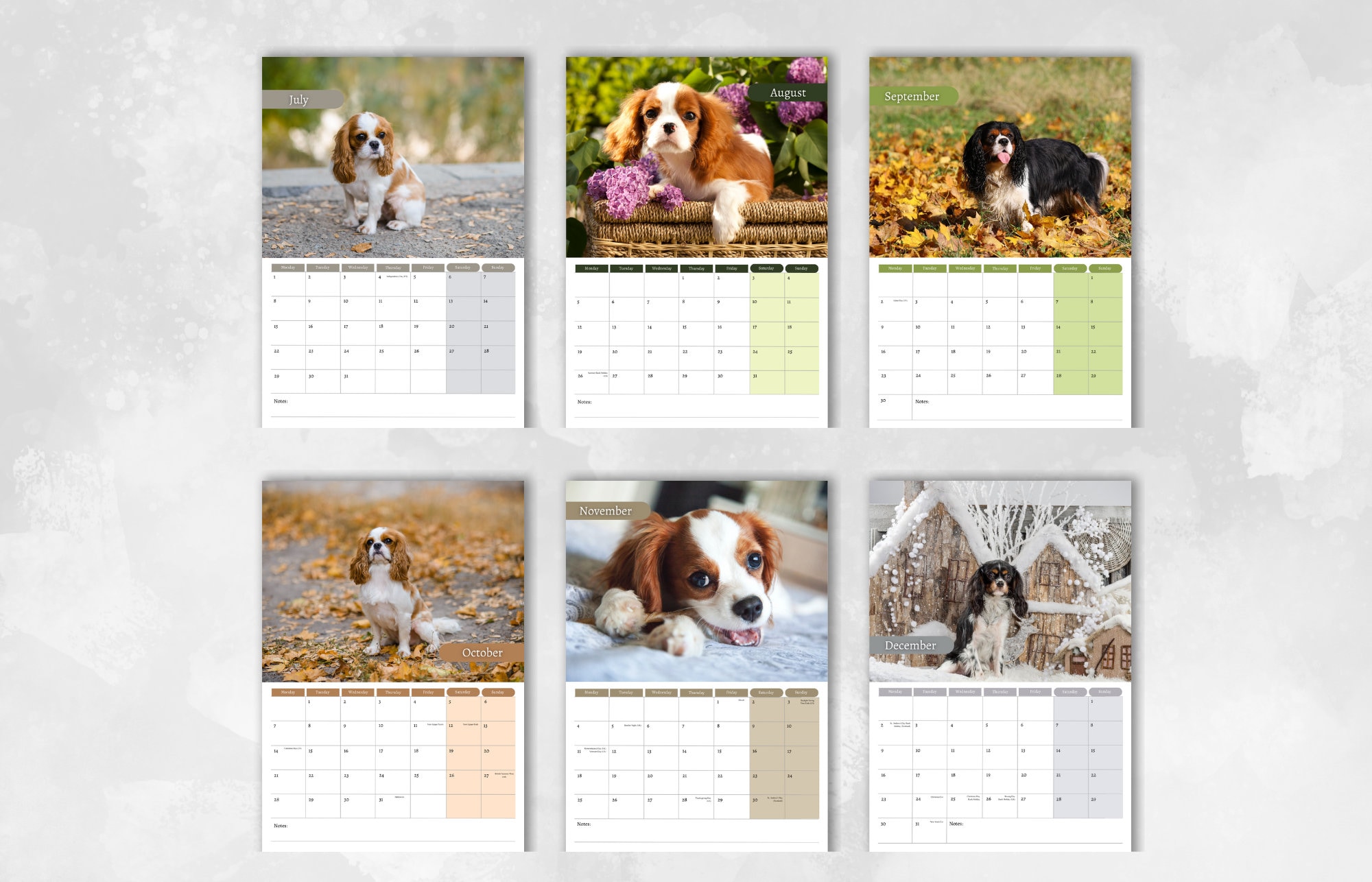 Cavalier King Charles Spaniel Calendar 2025 Monthly Wall Etsy Canada