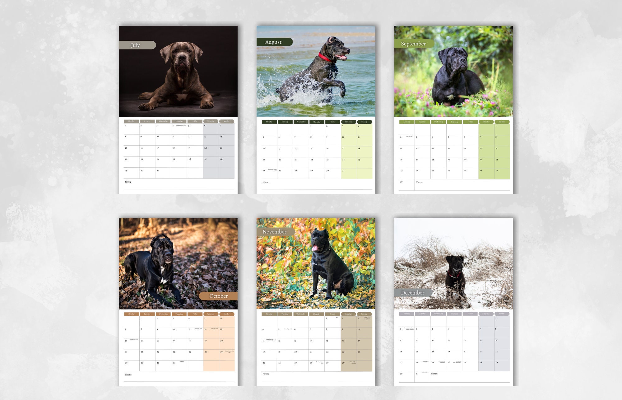 Cane Corso Calendar 2024 Monthly Wall Calendar A4 Size Etsy UK