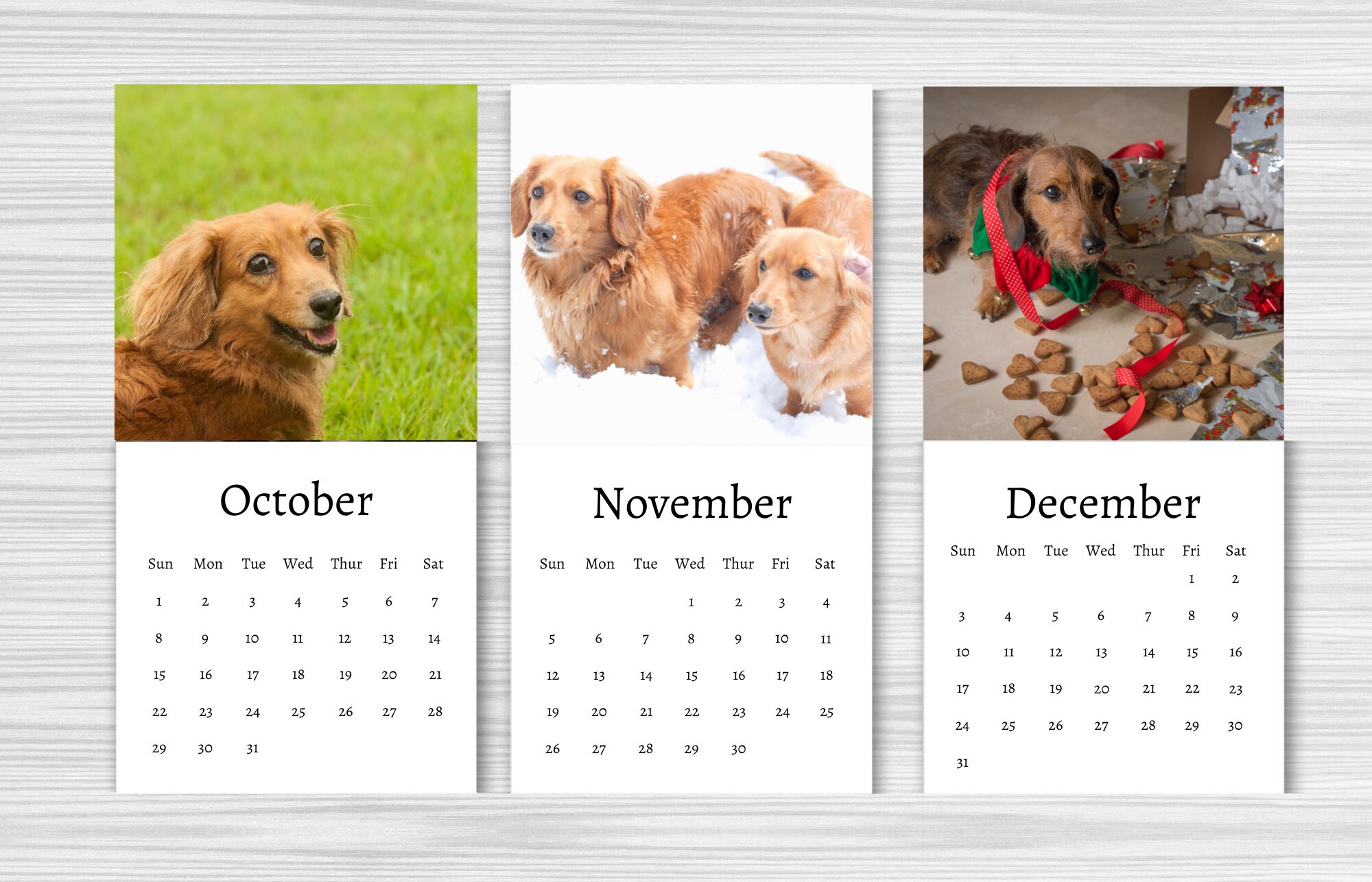 Dachshund Calendar 2024 Mini Desk Calendar Dachshund Etsy