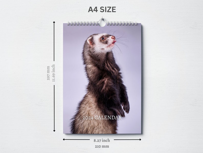 Ferret Calendar 2024 Monthly Wall Calendar A4 Hanging Etsy