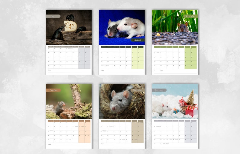 Rat Calendar 2024 Monthly Wall Calendar, A4 Hanging Calendar Perfect