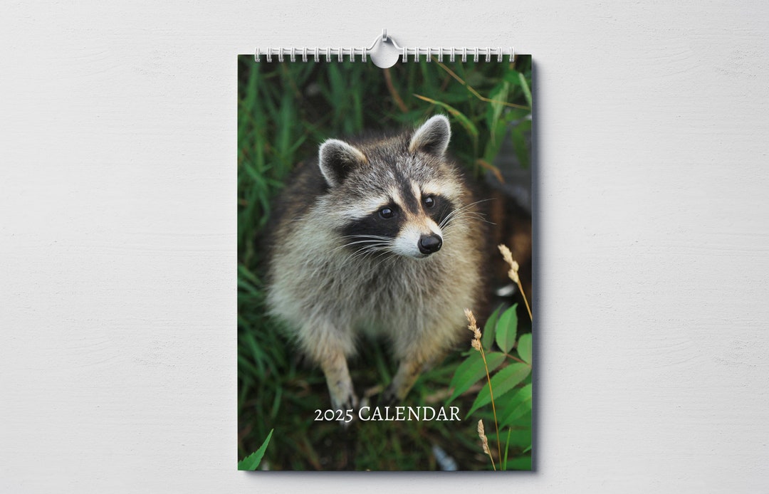 Racoon Calendar 2025 Monthly Wall Calendar With Notes, Hanging A4 Size