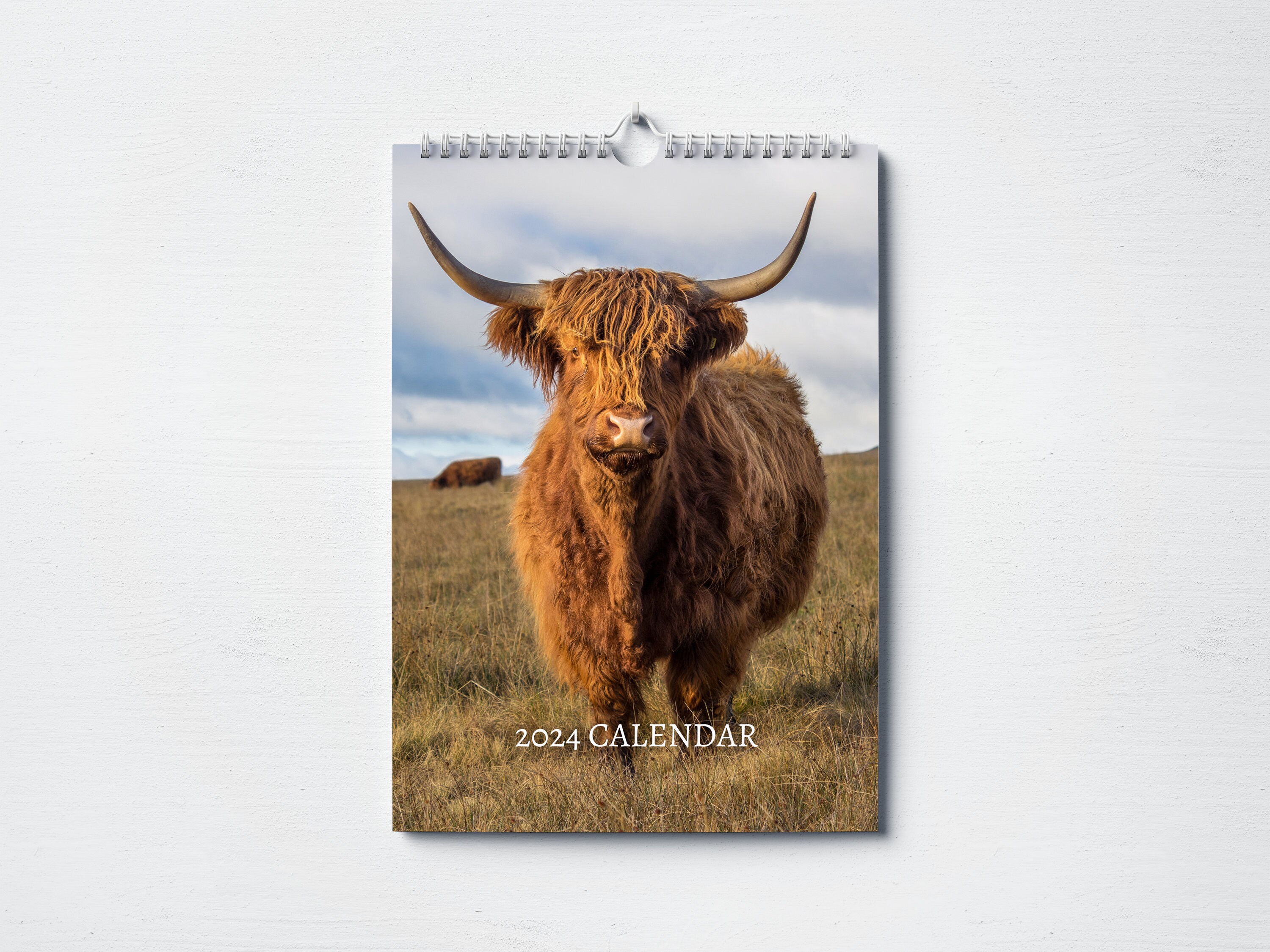 Highland Cow Calendar 2024 Monthly Wall Calendar, A4 Hanging Calendar Perfect Gift for Highland Cow Lovers - Etsy