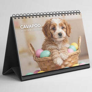 Peut inclure: Calendrier de bureau avec un chiot Cavapoo et des œufs de Pâques dans un panier. Le calendrier a un support noir et une reliure à spirale. Le texte "CAVAPOO 2026 DESK CALENDAR" est imprimé sur le devant. Mesures en cm.
