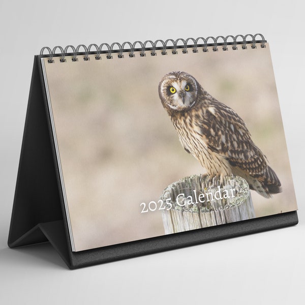 Owl 2025 Calendar Etsy Owl Desk Calendar 2025