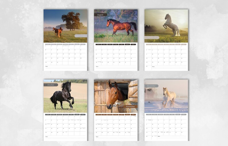 Calendrier Cheval 2025 Calendrier mural mensuel A4 - Etsy France
