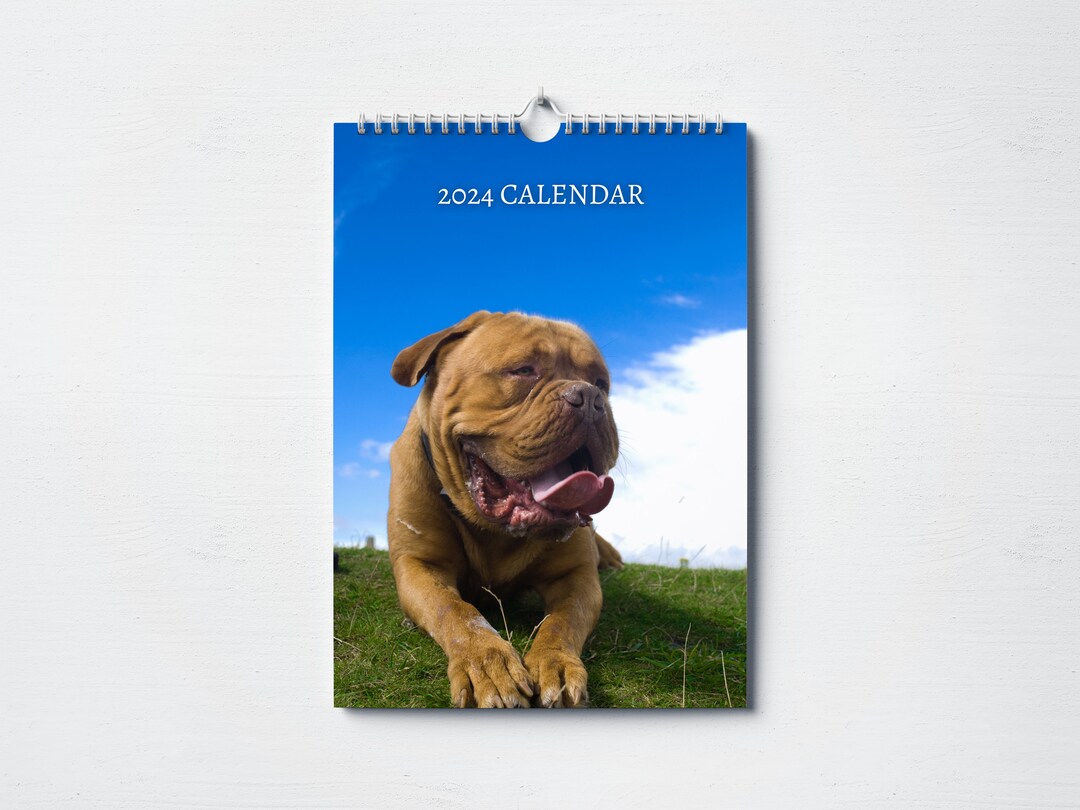 Dogue De Bordeaux Calendar 2025 Monthly Wall Calendar A4 Etsy