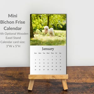 May include: A mini Bichon Frise calendar featuring a white dog in a grassy park setting. The calendar displays the month of January with a grid of dates. It is supported by a light-coloured wooden easel stand. The calendar card measures 7.62 cm wide by 12.7 cm high.