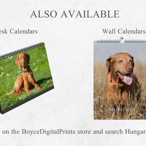 Hungarian Vizsla Calendar 2024 Mini Desk Calendar - Etsy Ireland