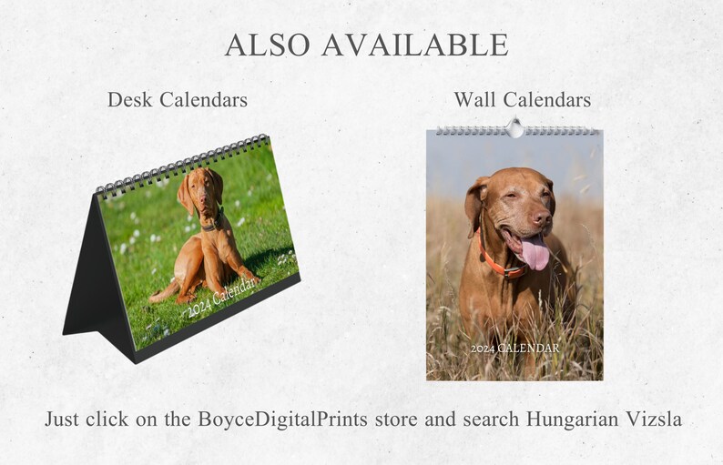 Hungarian Vizsla Calendar 2024 Mini Desk Calendar - Etsy Canada