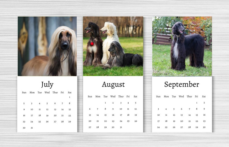 Afghan Hound Calendar 2024 Mini Desk Calendar Afghan Hound - Etsy Canada Afghan Hound Calendar 2024 Mini Desk Calendar Afghan Hound - Etsy Canada