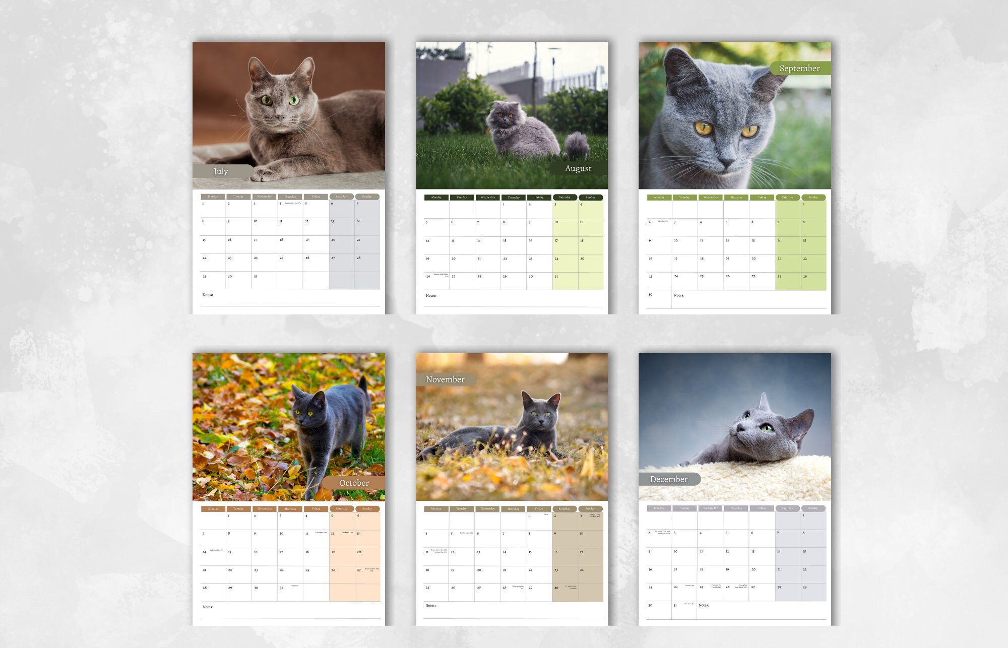 Russian Blue Cat Calendar 2024 Monthly Wall Calendar A4 Etsy