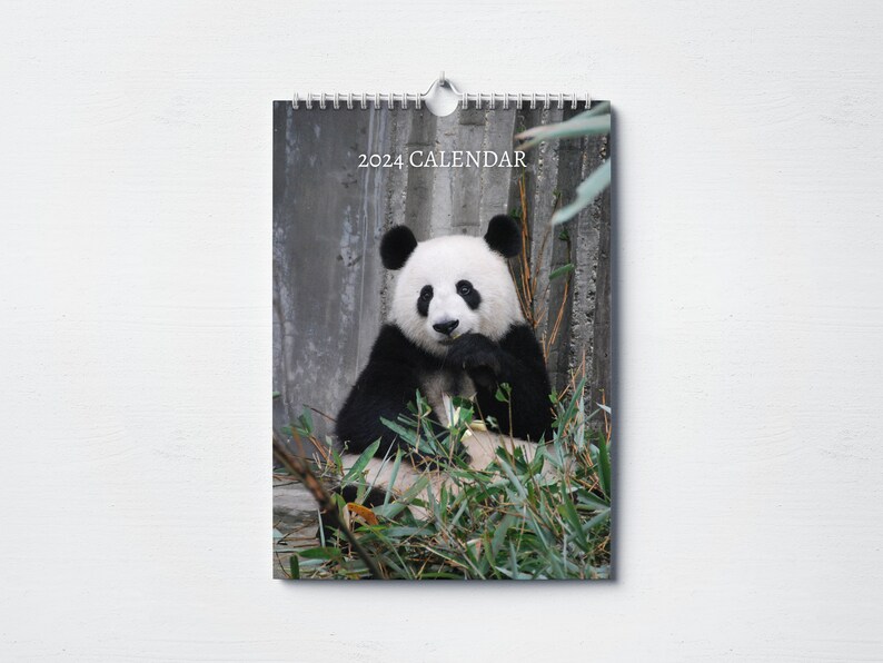 Panda Calendar 2024 Monthly Wall Calendar, A4 Hanging Calendar Perfect