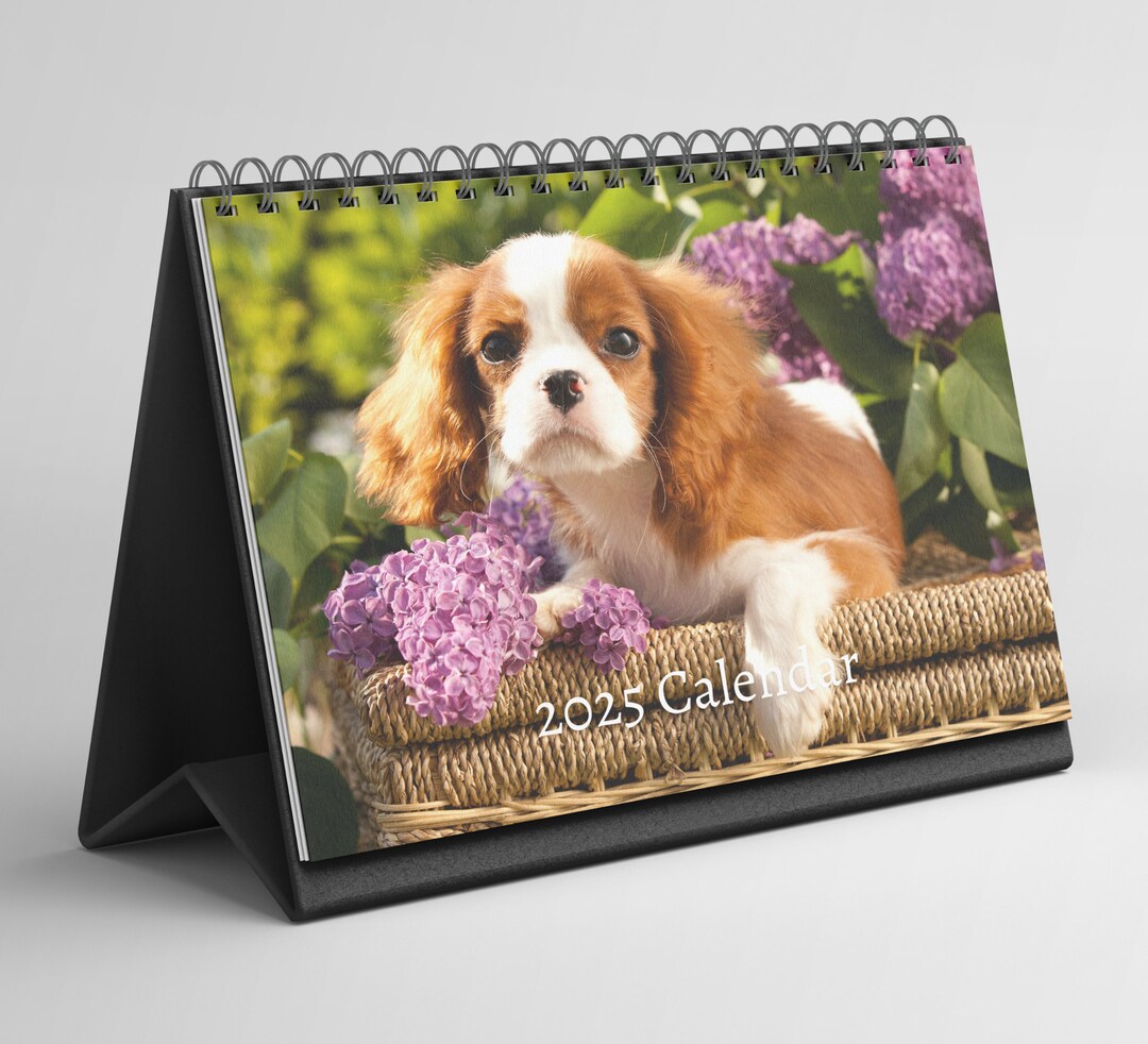 Cavalier King Charles Spaniel Desk Calendar 20252026 Standing Flip