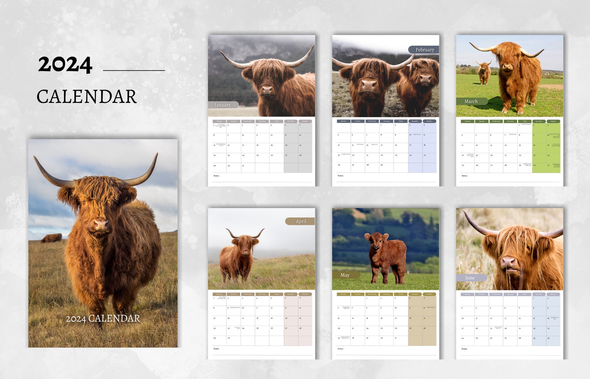 Highland Cow Calendar 2024 Monthly Wall Calendar A4 Etsy Australia