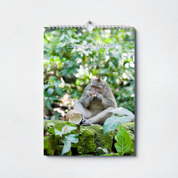 2024 Monkey Calendar Etsy