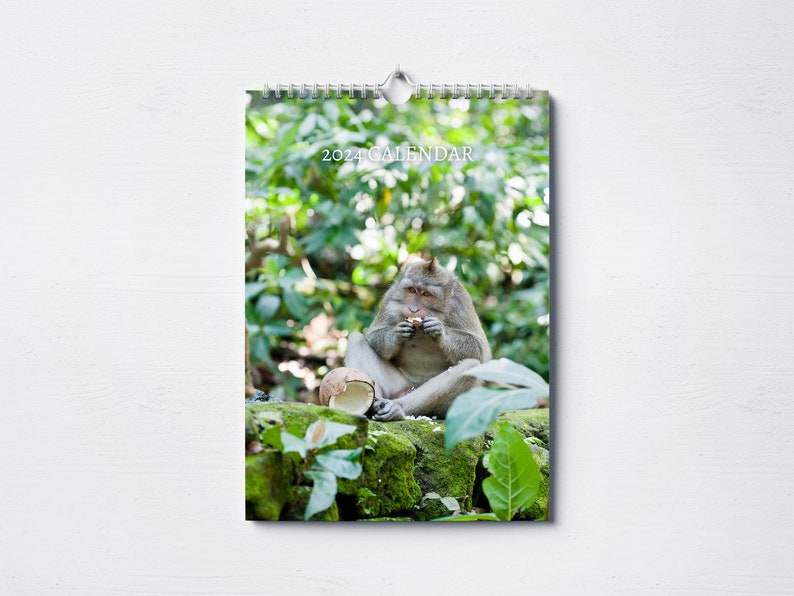 Monkey Calendar 2024 Monthly Wall Calendar A4 Hanging Etsy
