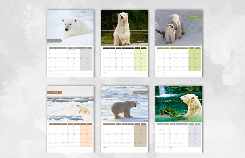 Polar Bear Calendar 2024 Monthly Wall Calendar A4 Hanging Etsy 日本