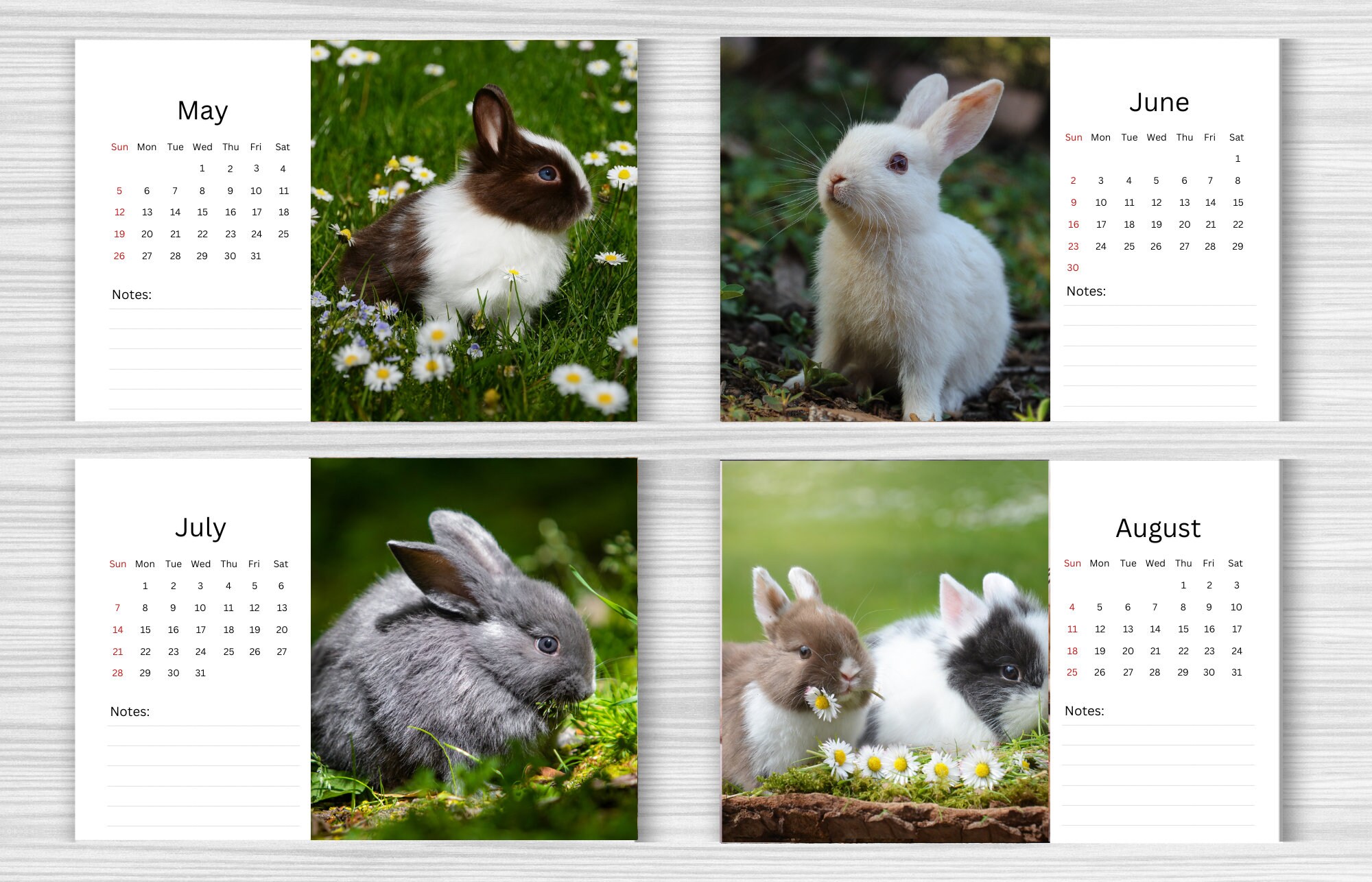 Rabbit Desk Calendar 2024 Desktop Calendar Rabbit Calendar Etsy