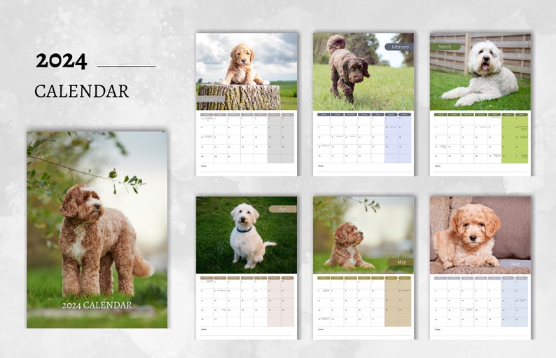 Labradoodle Calendar 2024 Monthly Wall Calendar, A4 Hanging Calendar