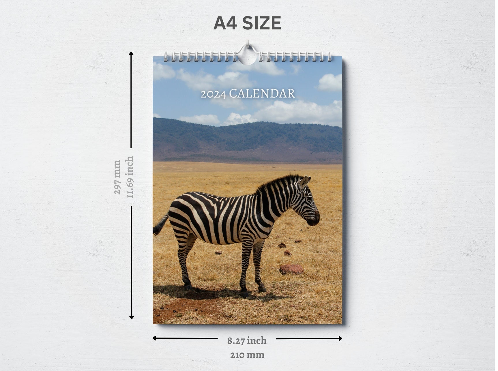 Zebra Calendar 2024 Monthly Wall Calendar A4 Hanging Etsy UK