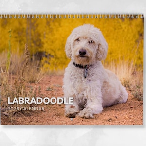 Labradoodle Calendar 2026: Monthly Wall Calendar with Notes, opens to A3 Size, Includes key dates & holidays