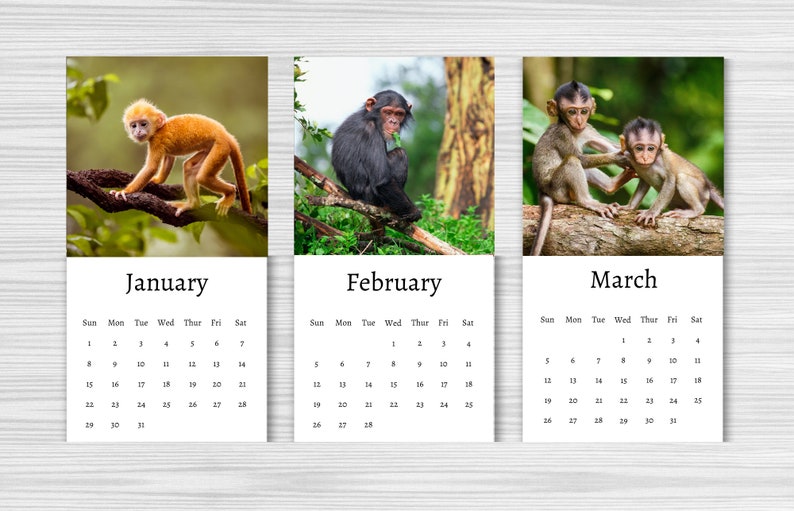Monkey Calendar 2024 Mini Desk Calendar Monkey Calendar Etsy UK