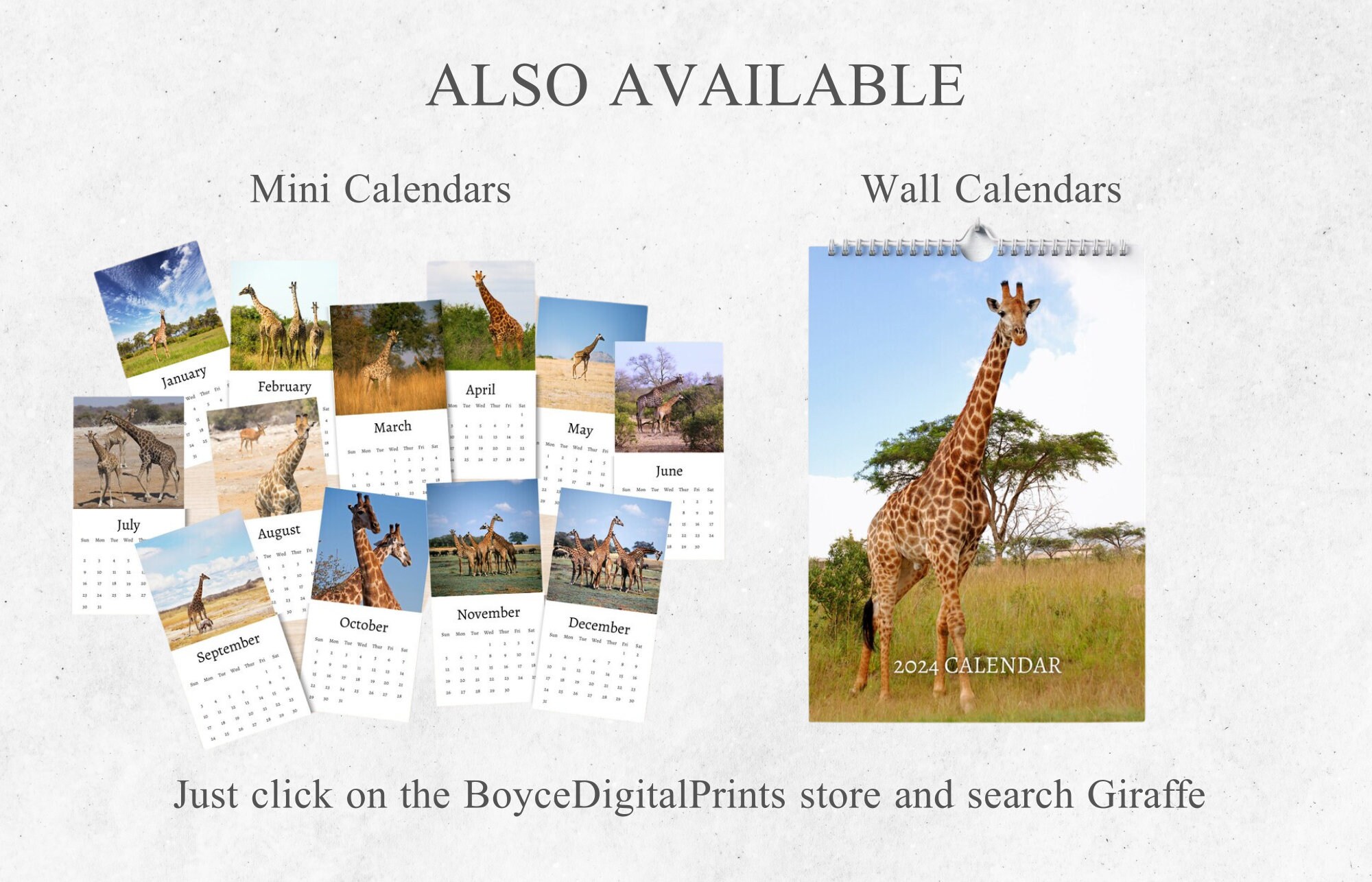 Giraffe Desk Calendar 2024 Desktop Calendar Giraffe Etsy