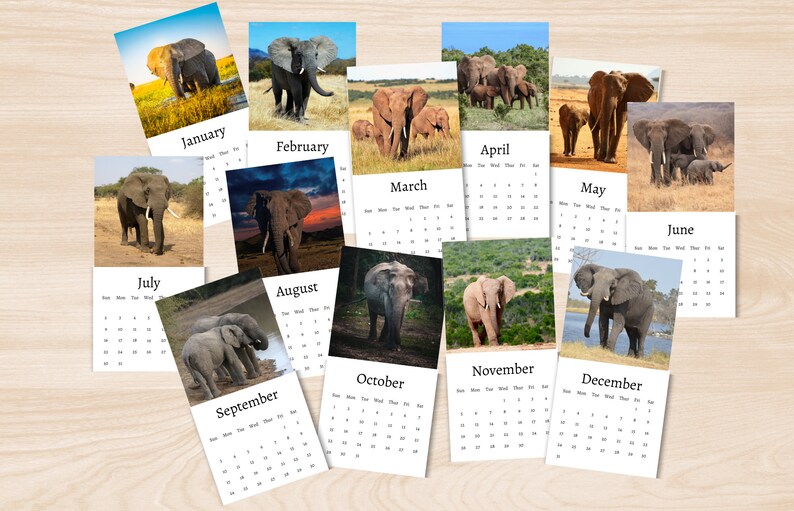 Elephant Calendar 2024 Mini Desk Calendar Elephant Etsy UK