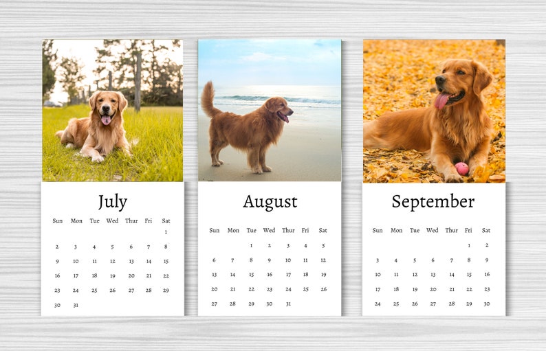 Golden Retriever Calendar 2025 Mini Desk Calendar Golden Etsy Australia