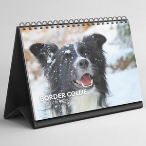 May include: A desk calendar with a black stand, displaying a Border Collie dog in a snowy scene. The dog has black and white fur. The calendar is spiral-bound and features the text "BORDER COLLIE 2026 DESK CALENDAR".
