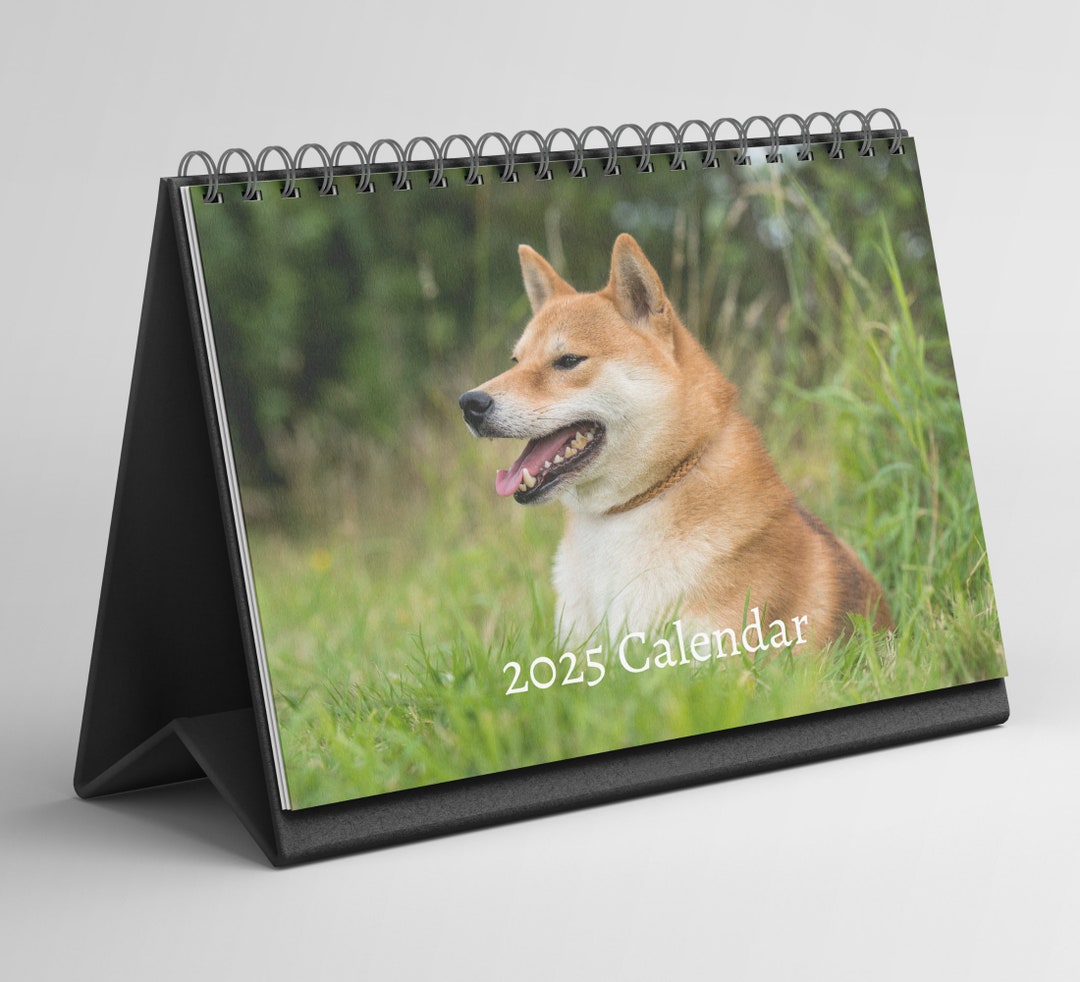 Shiba Inu Desk Calendar 20252026 Standing Flip Desktop Calendar With