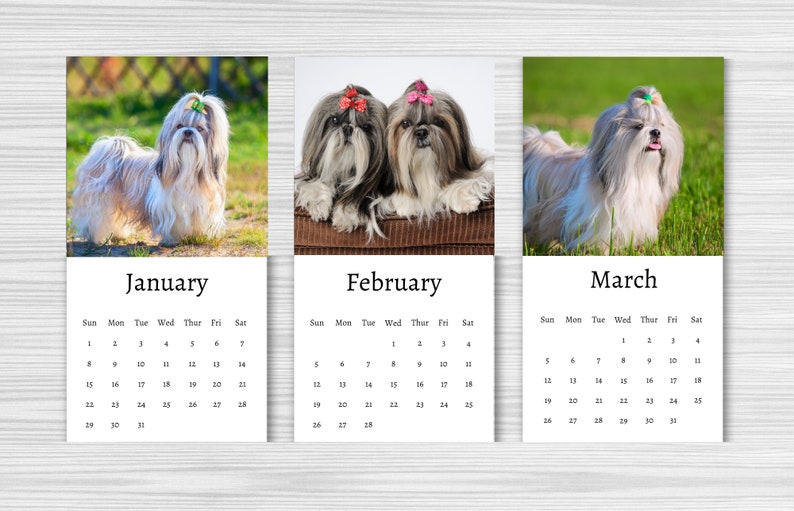 Shih Tzu Calendar 2025 Mini Desk Calendar Shih Tzu Etsy Canada