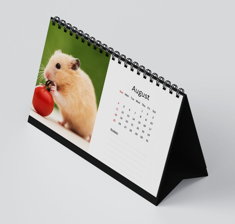 Hamster Desk Calendar 2024 Desktop Calendar Hamster Calendar 2024-2025 Perfect for Stocking 